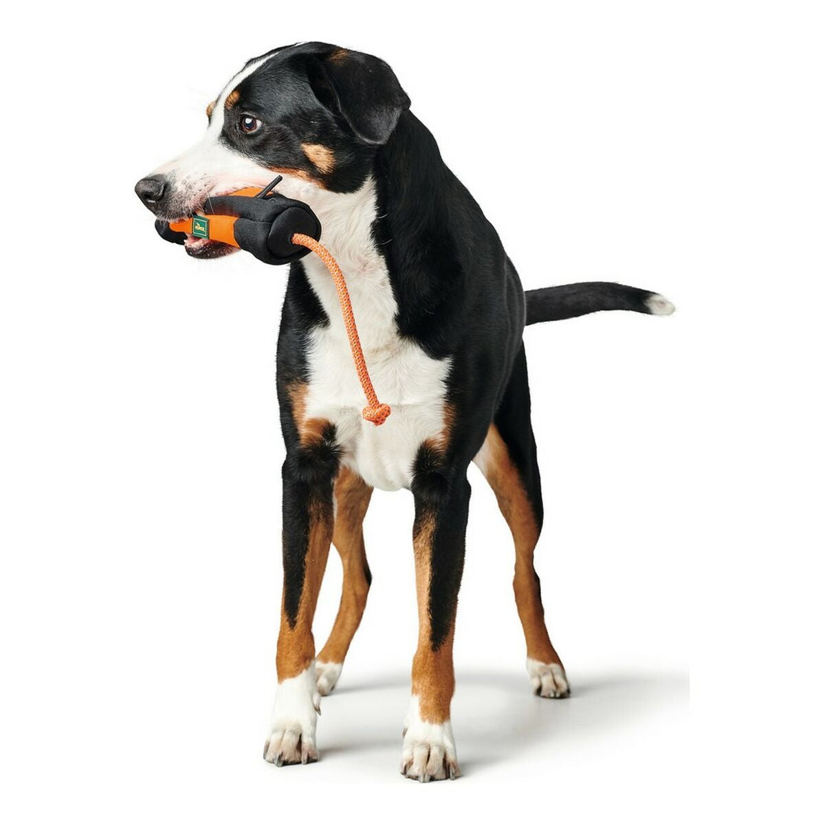 Spielzeug & Accessoires