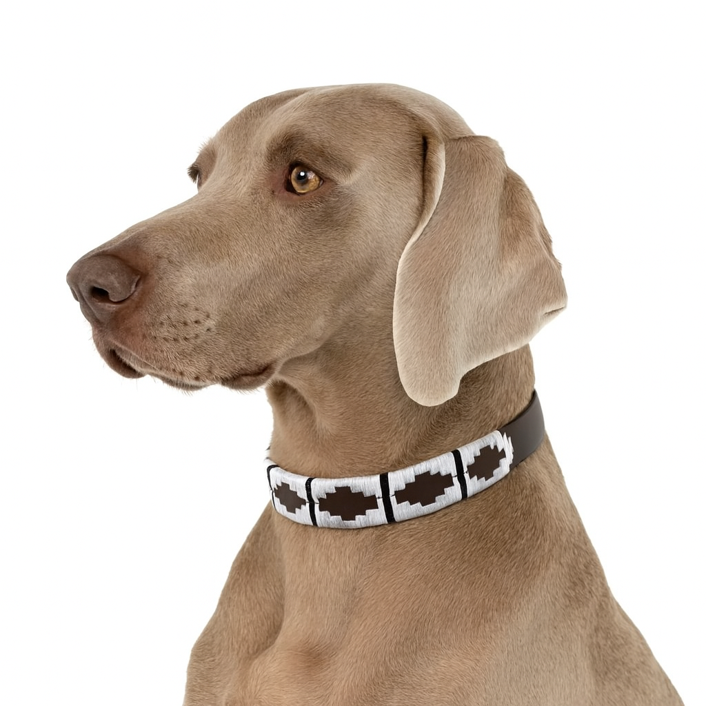 Halsbänder, Leinen & Geschirre