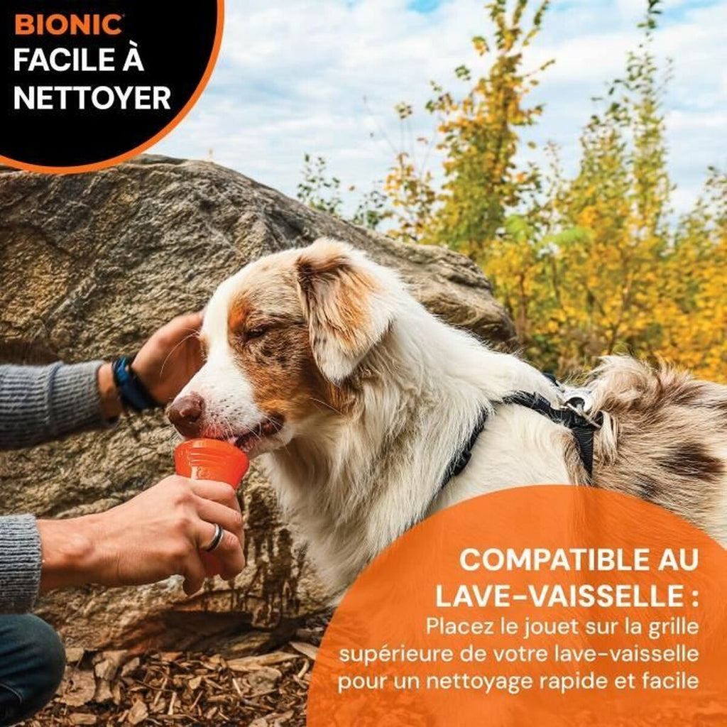 Dog chewing toy Bionic Urban stick Orange M Bone-1