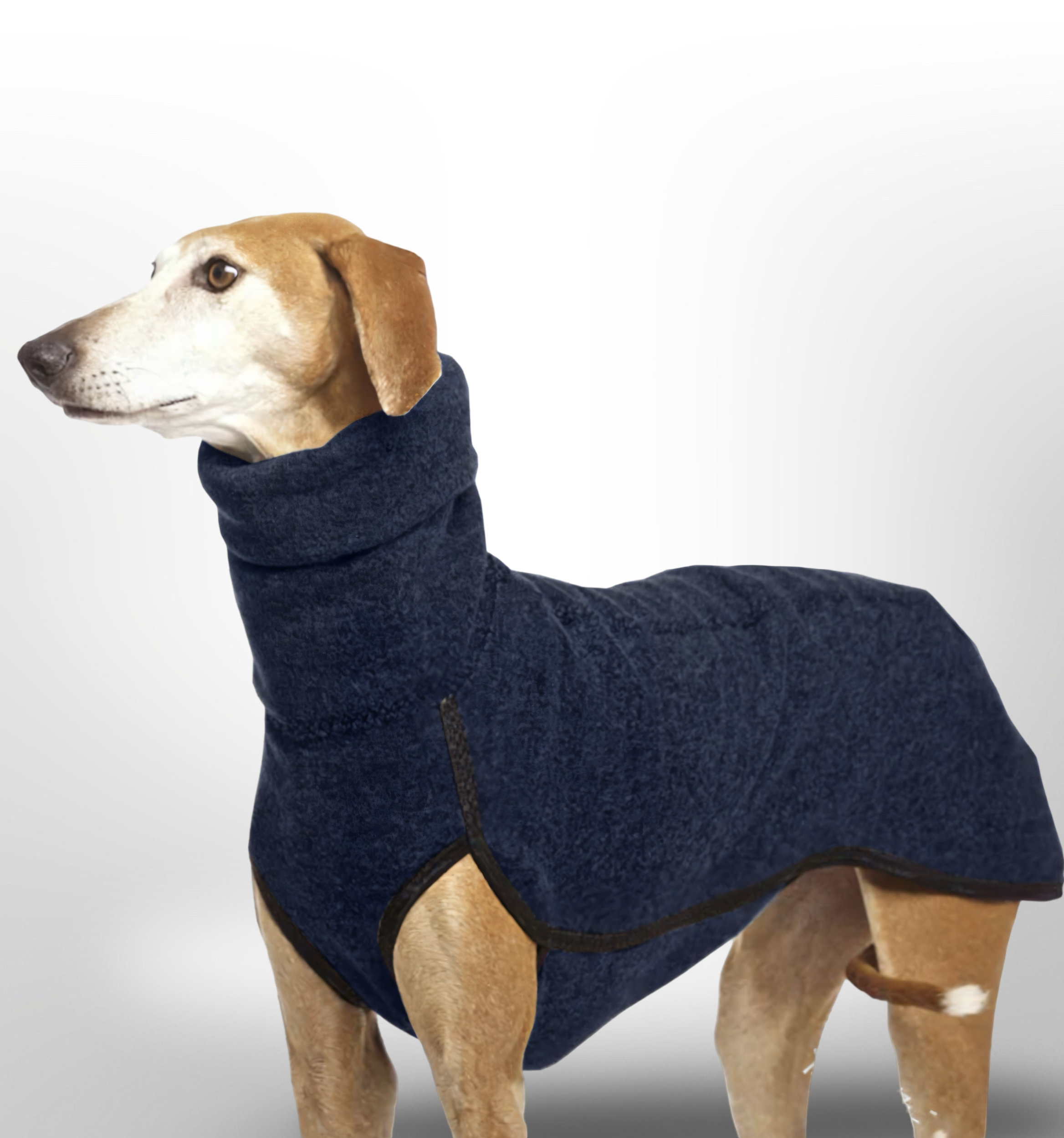 The Windsor High-Neck Coat