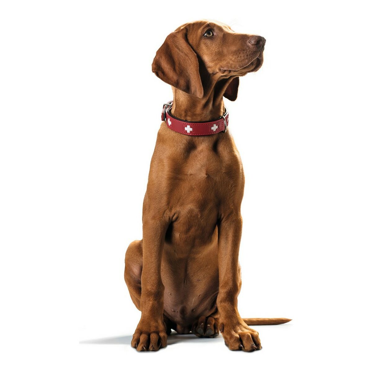 Dog collar Hunter Swiss Red/Black (38-43.5 cm)-3