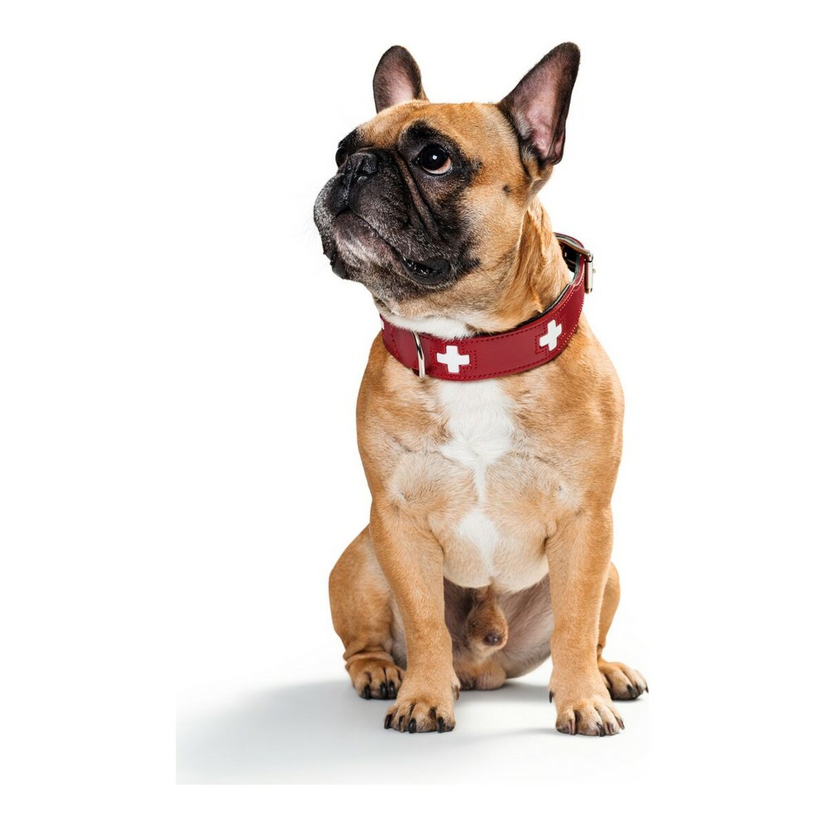 Dog collar Hunter Swiss Red/Black (38-43.5 cm)-2