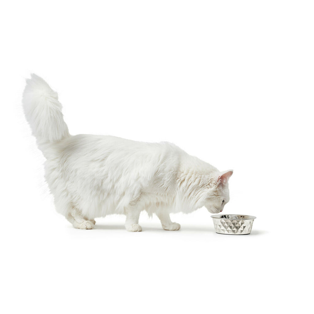 Dog Feeder Hunter Silicone Stainless steel 2,6 L-5