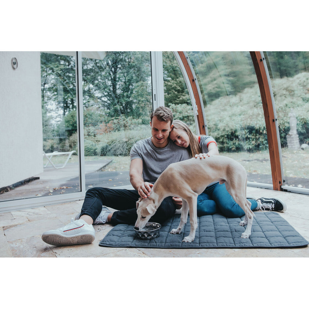 Dog Feeder Hunter Silicone Stainless steel 2,6 L-3