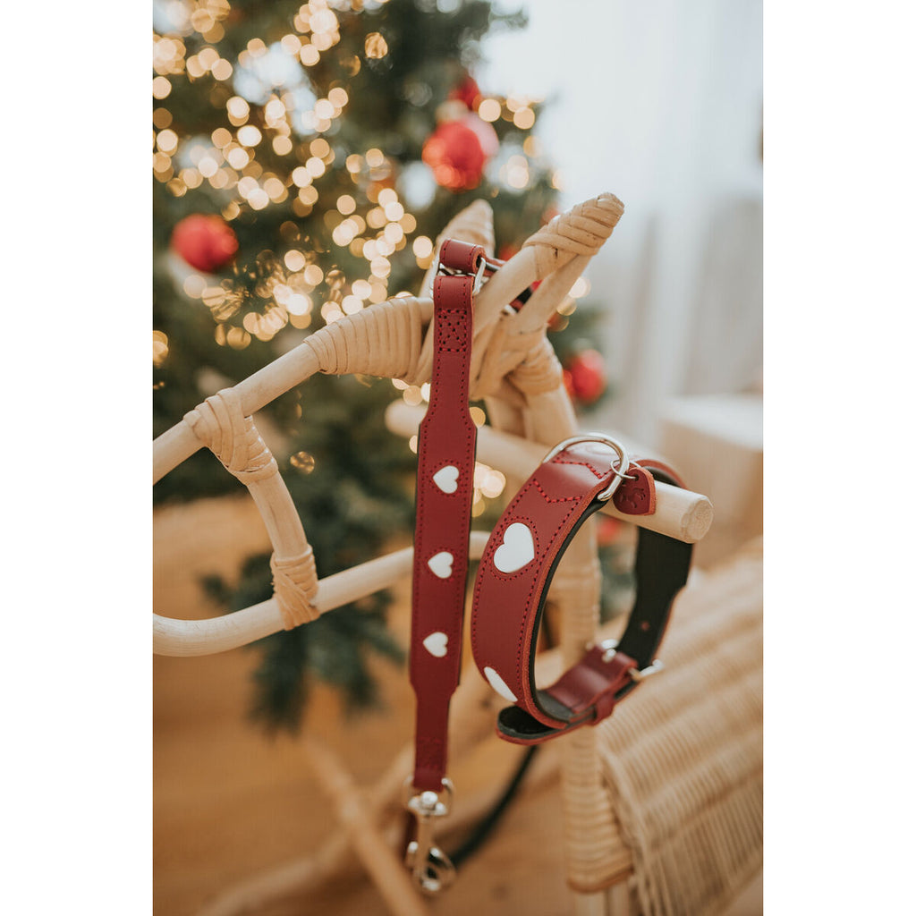 Dog Lead Hunter Red 2 m Adjustable-2