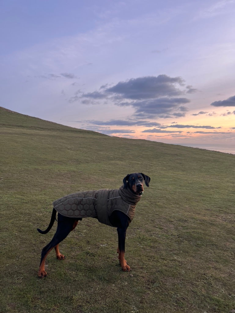 The Heritage Field Coat