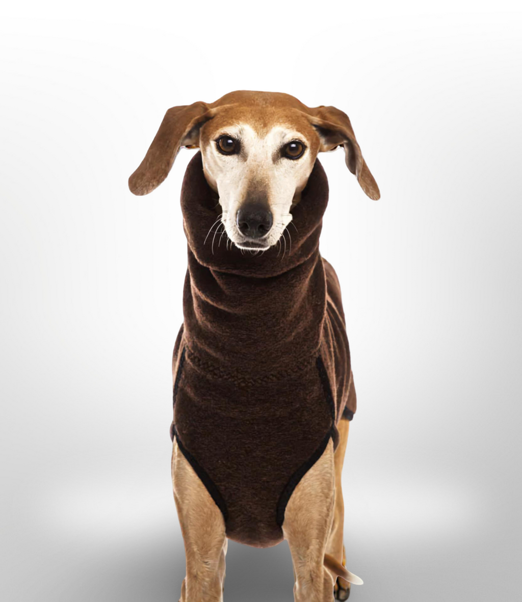 The Windsor High-Neck Coat