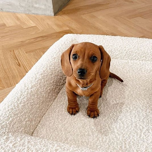 The Windsor Orthopedic Dog Bed