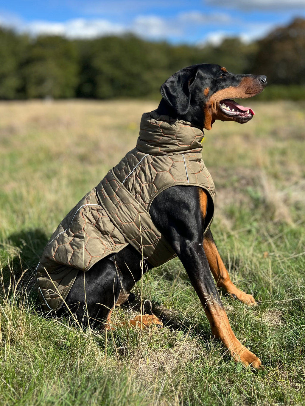 The Heritage Field Coat